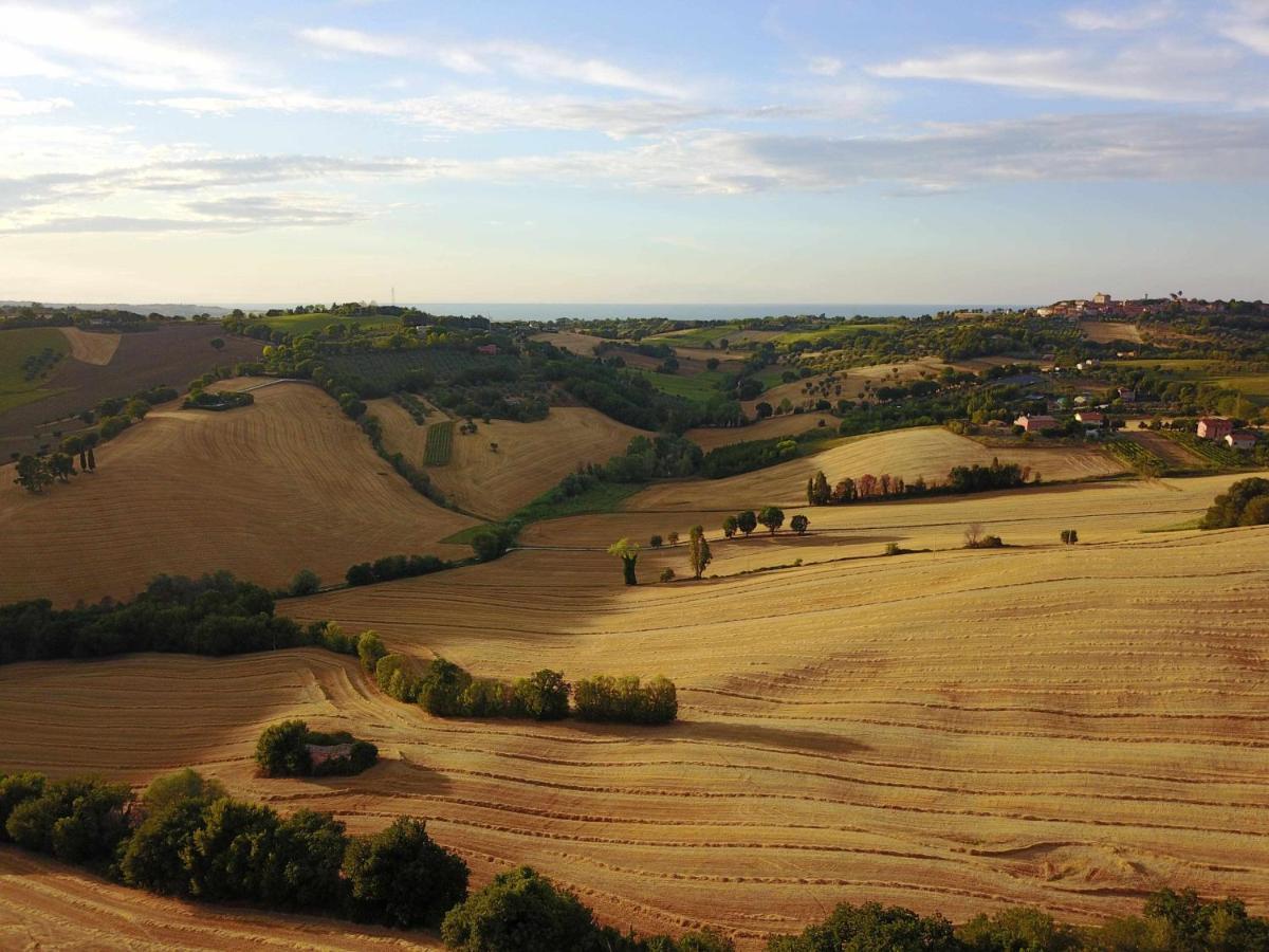 La Meriggia Agriturismo- Ampio Appartamento Con Terrazza Esclusiva Ancona Exteriér fotografie