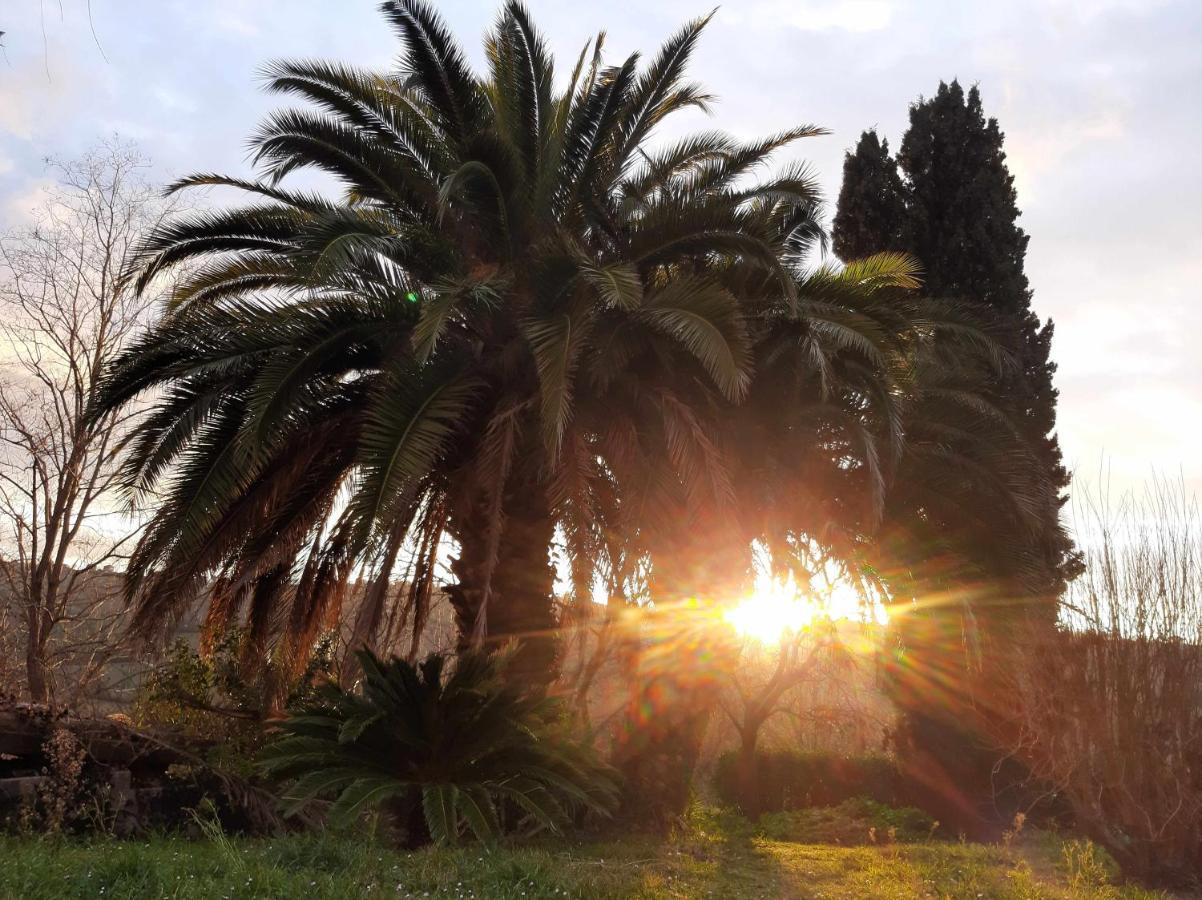 La Meriggia Agriturismo- Ampio Appartamento Con Terrazza Esclusiva Ancona Exteriér fotografie