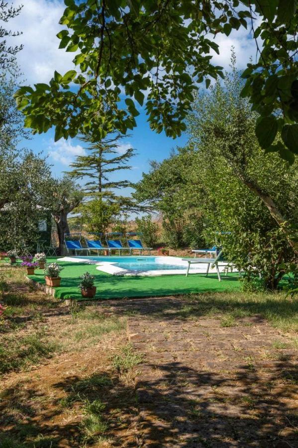 La Meriggia Agriturismo- Ampio Appartamento Con Terrazza Esclusiva Ancona Exteriér fotografie