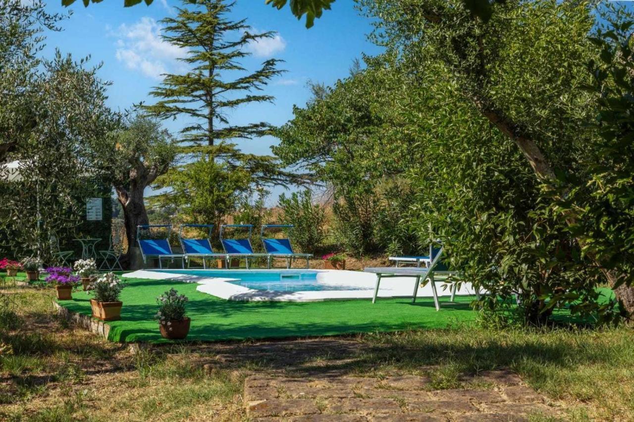 La Meriggia Agriturismo- Ampio Appartamento Con Terrazza Esclusiva Ancona Exteriér fotografie